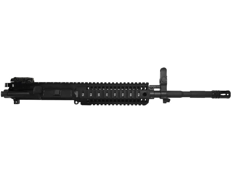 686017.jpg