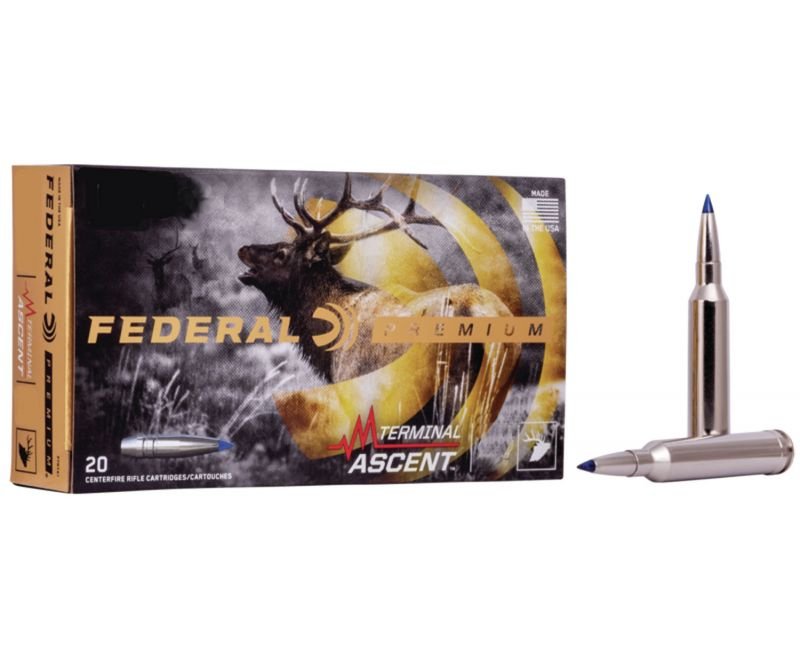 Federal-Premium-P300WSMTA1-604544659412.jpg